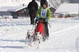 Lenk 2012 SM